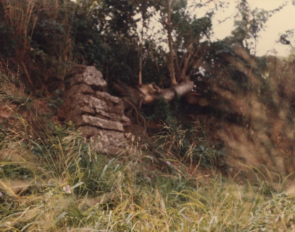 牆體傾圮的狀況，1975年